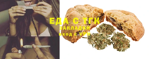 индика Белокуриха