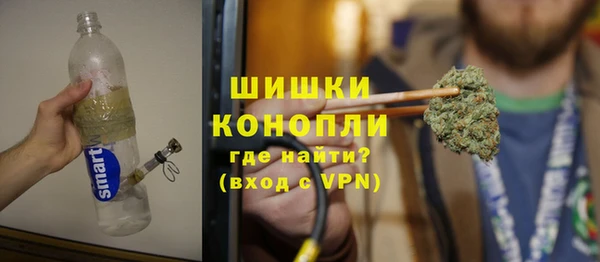 индика Белокуриха