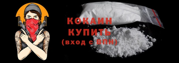 индика Белокуриха