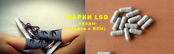 индика Белокуриха