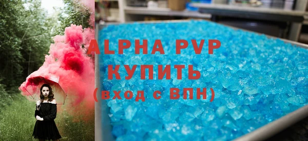 индика Белокуриха