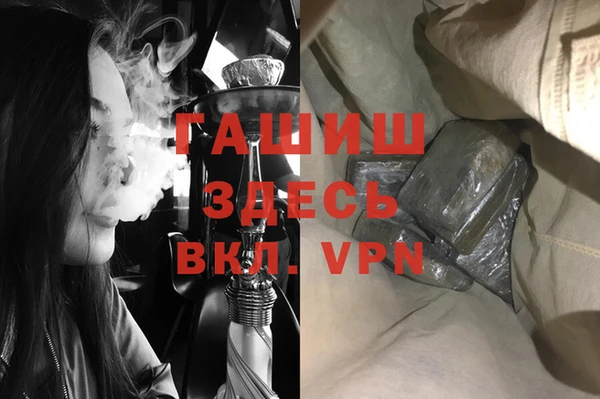 индика Белокуриха