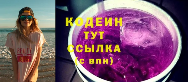 индика Белокуриха
