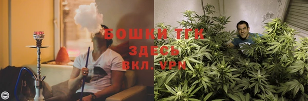 индика Белокуриха