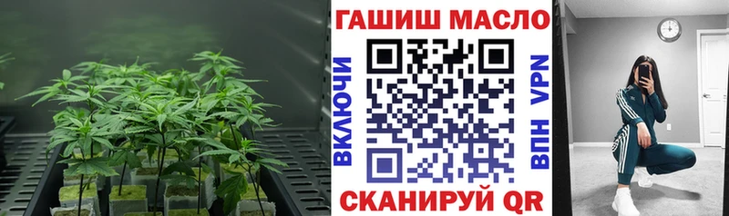 Дистиллят ТГК THC oil  площадка состав  Белокуриха  продажа наркотиков 
