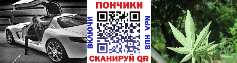 Шишки марихуана Amnesia  MEGA вход  Белокуриха 